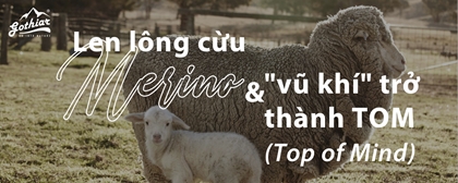 Len lông cừu Merino và vũ khí trở thành TOM (Top of Mind)