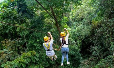 Du khách Mỹ chết ở Lào: Bị ong bắp cày khổng lồ đốt hơn 100 nhát